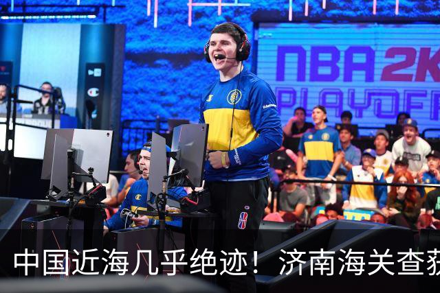 中国近海几乎绝迹！济南海关查获17只手镯，竟是由极危'国宝'制成