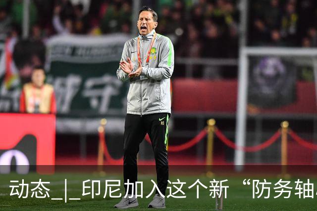 动态 | 印尼加入这个新“防务轴心”，印度深感恐慌！