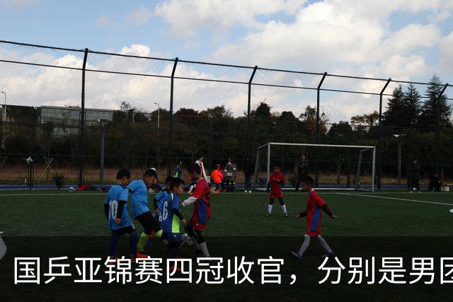 国乒亚锦赛四冠收官，分别是男团、女单、男双和女双；国乒小将李天阳2-3张本智和，获得男单亚军