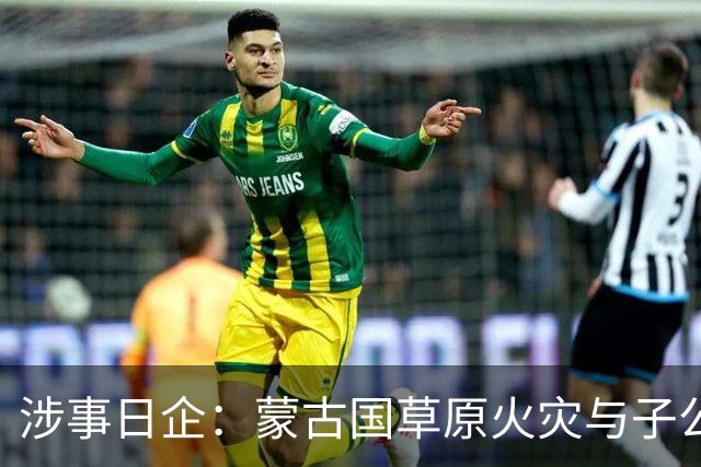涉事日企：蒙古国草原火灾与子公司高管活动有关