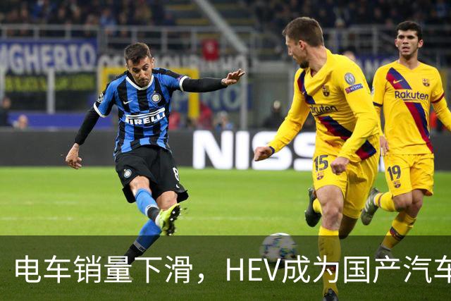 电车销量下滑，HEV成为国产汽车增长发动机，继续挑战丰田