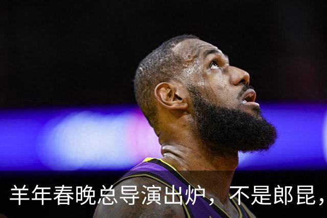 羊年春晚总导演出炉，不是郎昆，也不是哈文，而是刚收获好评的她