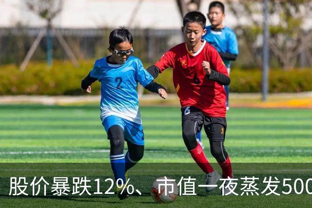 股价暴跌12%、市值一夜蒸发5000亿美元！谷歌重夺大模型第一，华尔街为何不买账？