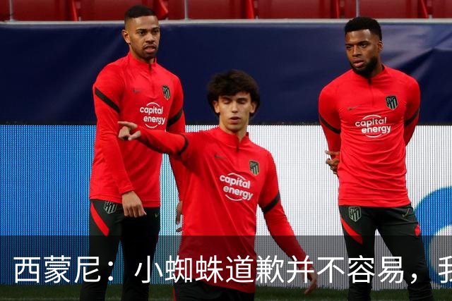 西蒙尼：小蜘蛛道歉并不容易，我很感谢他能这么做