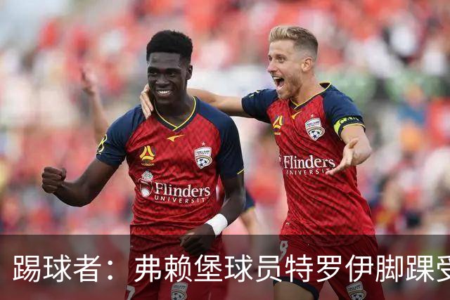 踢球者：弗赖堡球员特罗伊脚踝受伤，克洛普关注其恢复情况