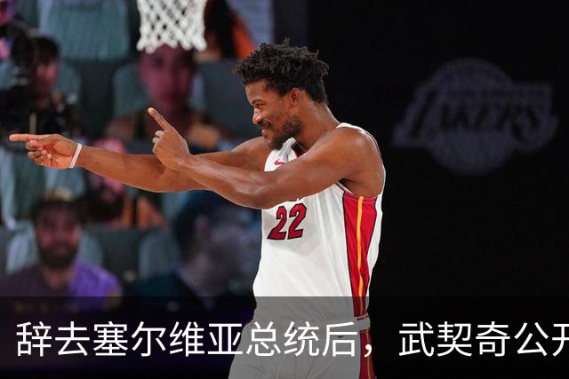 辞去塞尔维亚总统后，武契奇公开作出承诺：不会对俄罗斯实施制裁