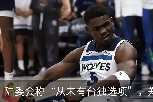 陆委会称“从未有台独选项”，郑丽文批：“台独”党纲怎么产生？
