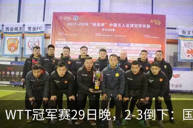 WTT冠军赛29日晚，2-3倒下：国乒第2败！首输外战，国乒3人进男单16强